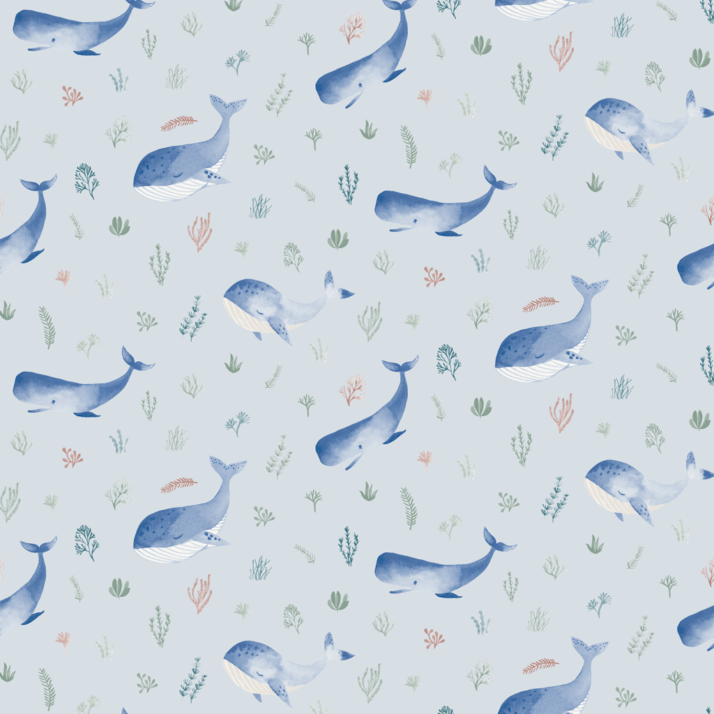 blue whale wallpaper