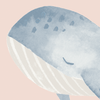 whale wallpaper