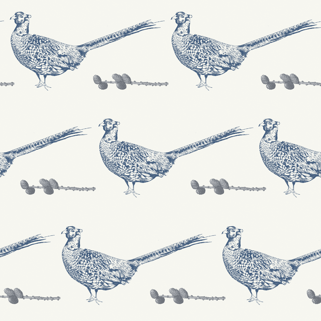 Download 1920x1080 HD Birds Golden Pheasant Wallpaper  Wallpaperscom