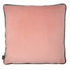 nova tropical flamingo cushion