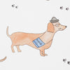 Serene 8 Sausage Dogs Car Wash, Design Illustration Serene 8 Sausage Dogs Car Wash, Design Illustration